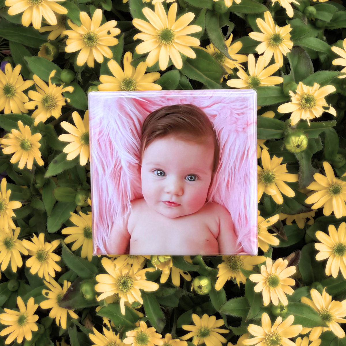 Personlige fotomagneter 5 x 5 cm